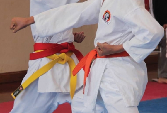 II ONLINE CUP JKA Ecuador