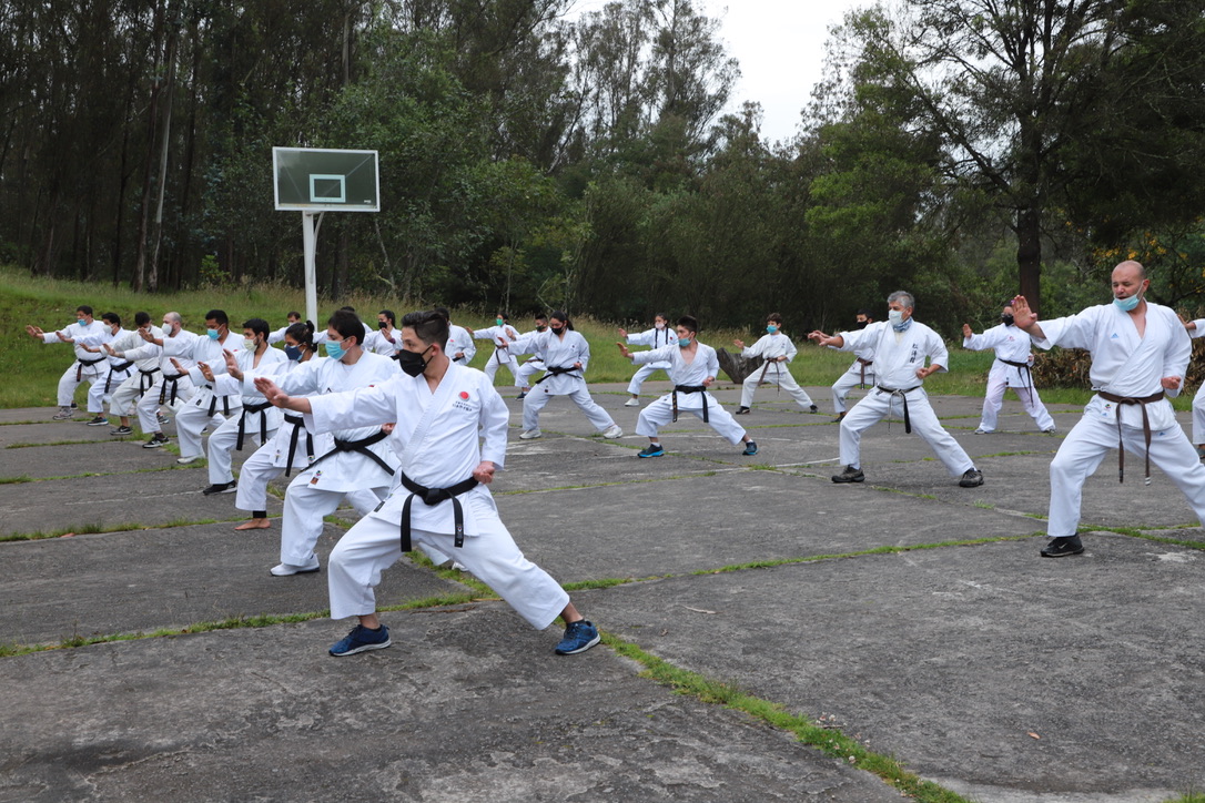 Entrenamiento General (AVANZADOS)