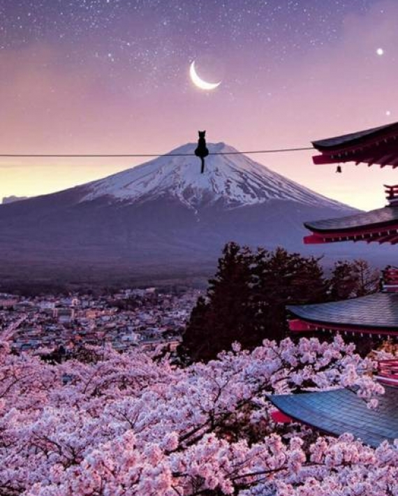 MES CULTURAL JAPONÉS 2021 - Taller Online de Karate para Principiantes